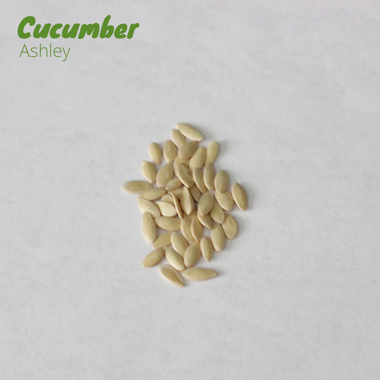 Cucumber - Ashley
