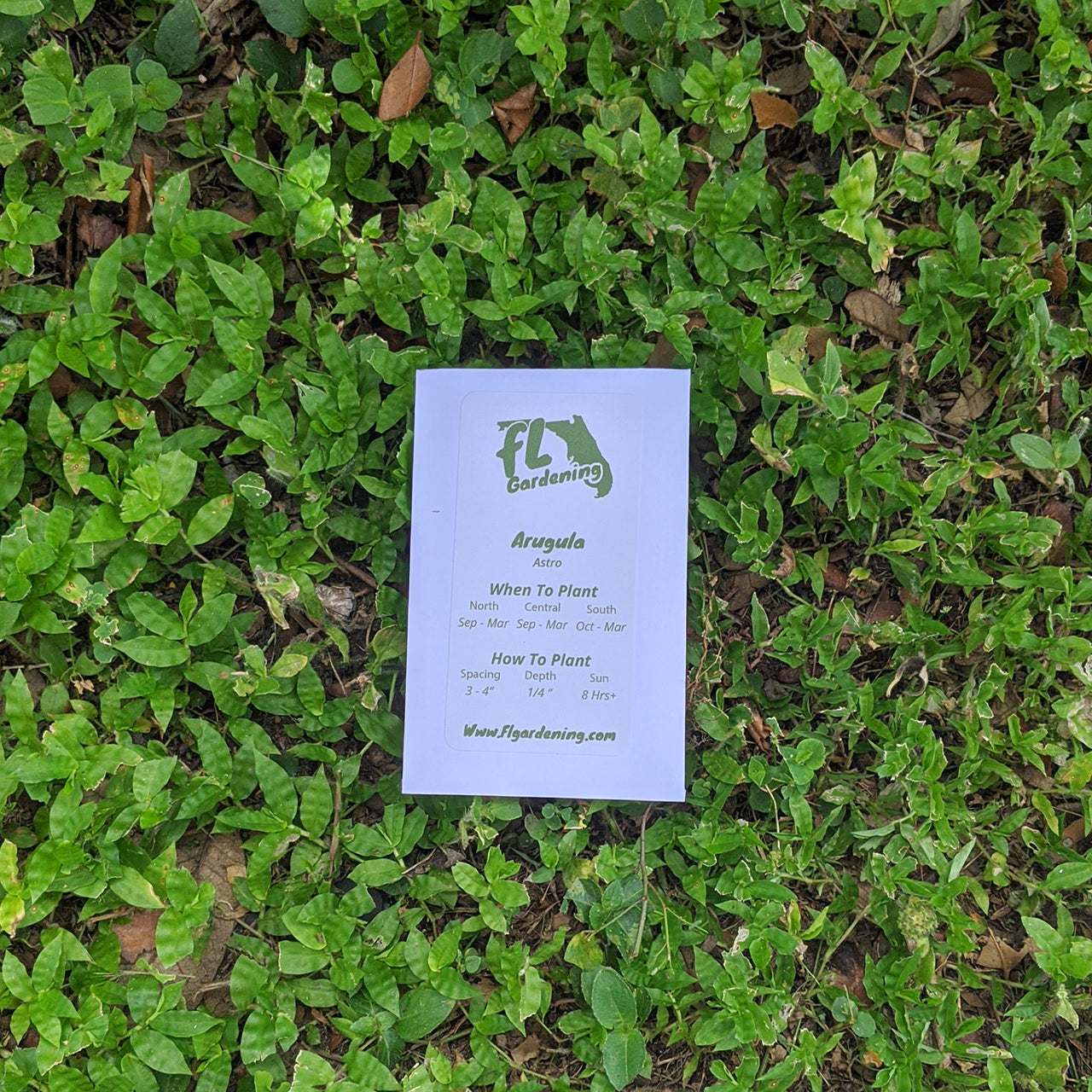 Arugula - Astro