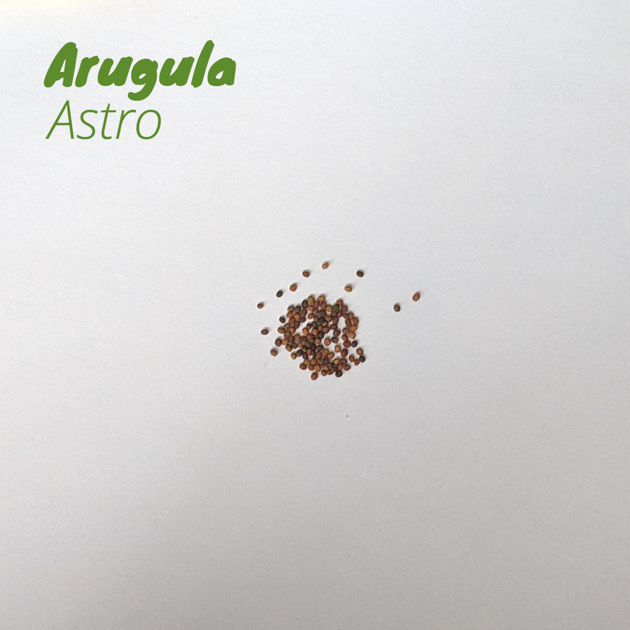 Arugula - Astro