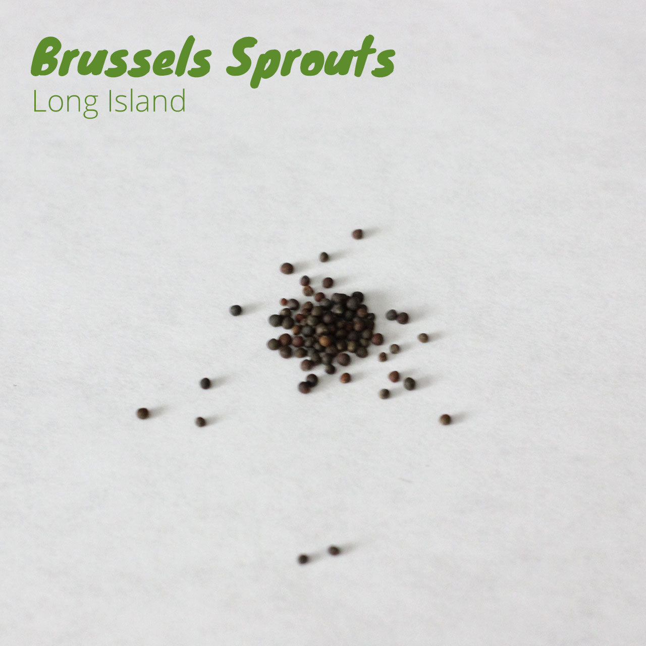 Brussels Sprouts - Long Island