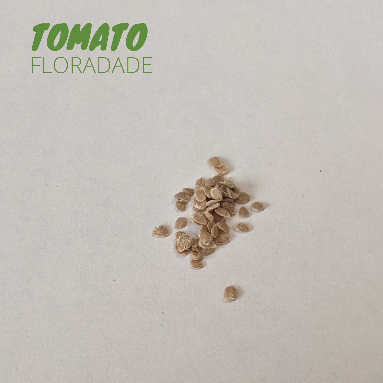 Tomato - Floradade