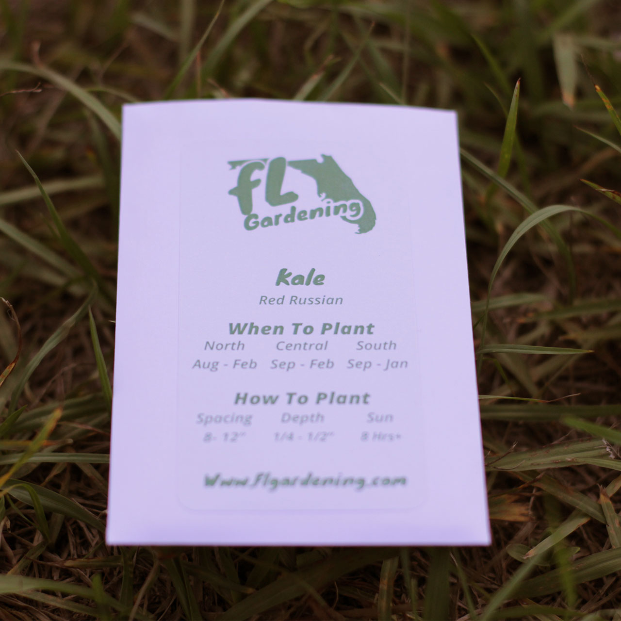 Kale - Red Russian