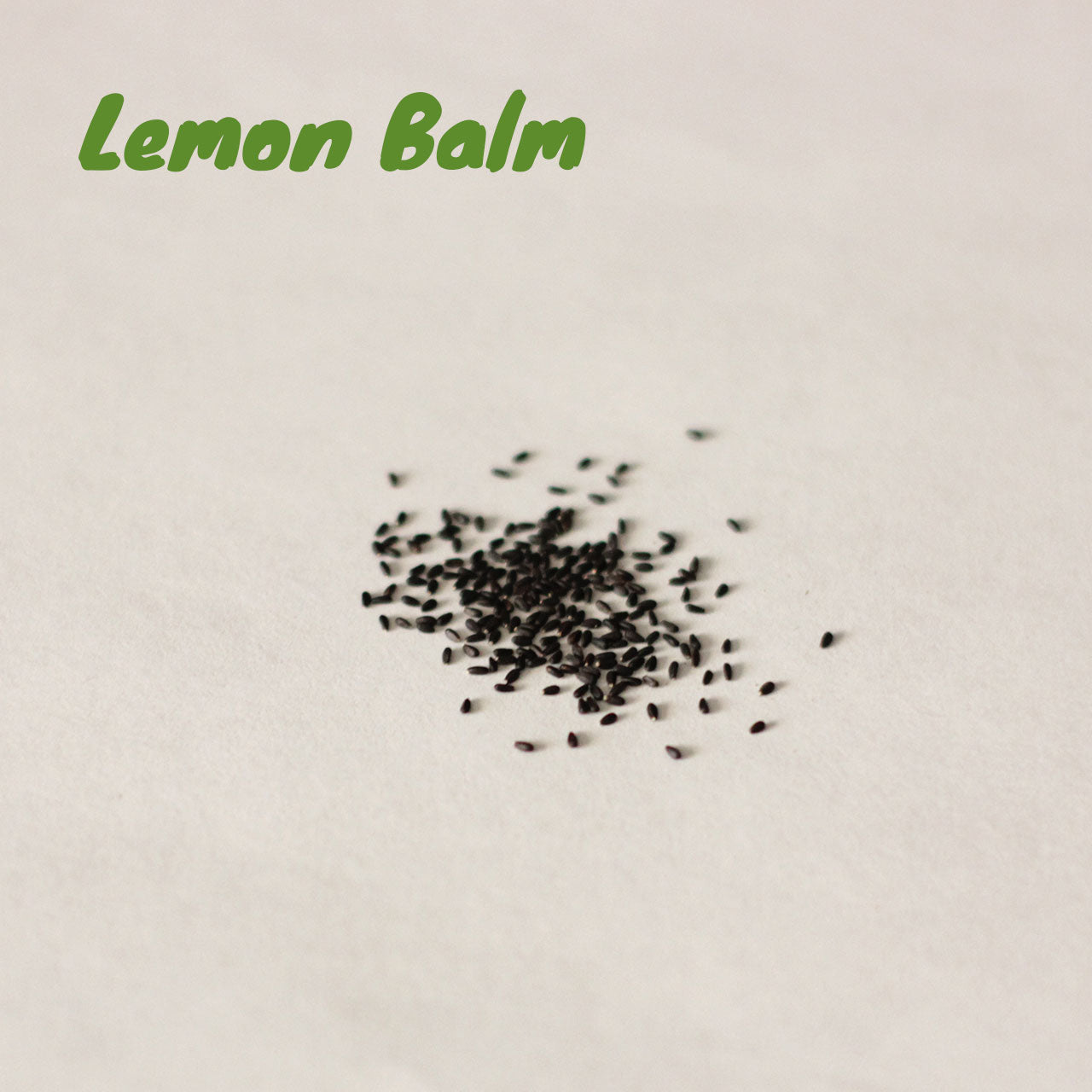 Lemon Balm