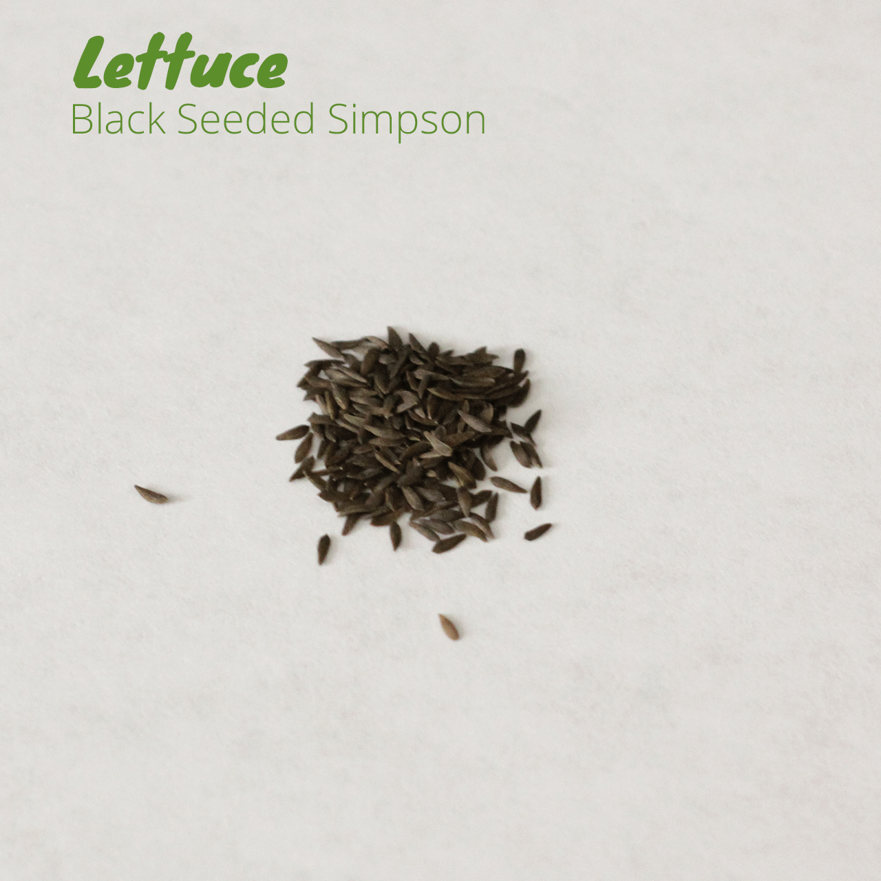 Florida Leafy Greens Pack