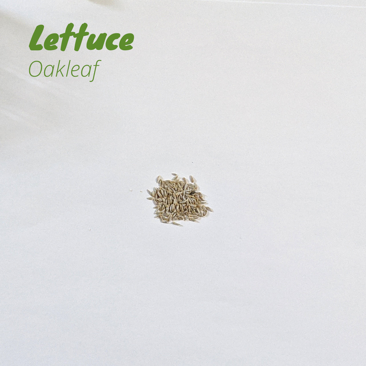 Florida Leafy Greens Pack