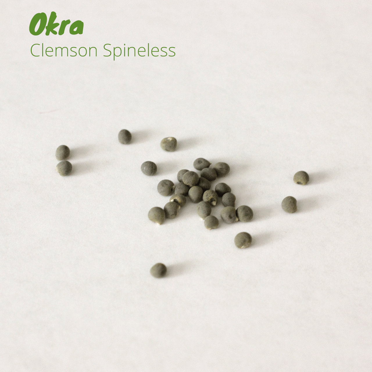 Okra - Clemson Spineless