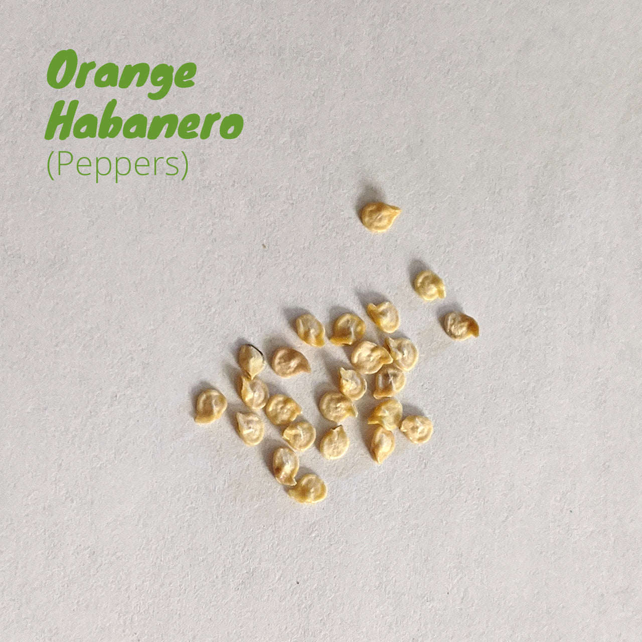 Pepper - Orange Habanero