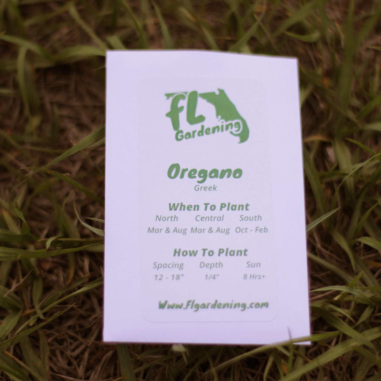 Oregano - Greek Oregano