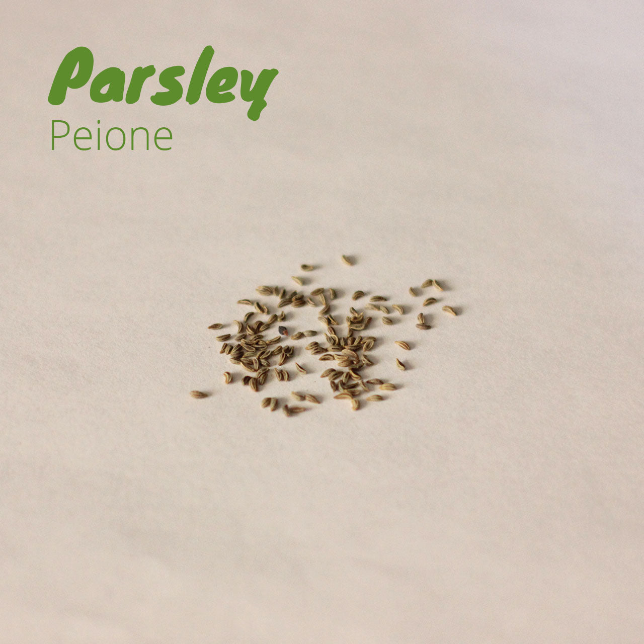 Parsley - Peione
