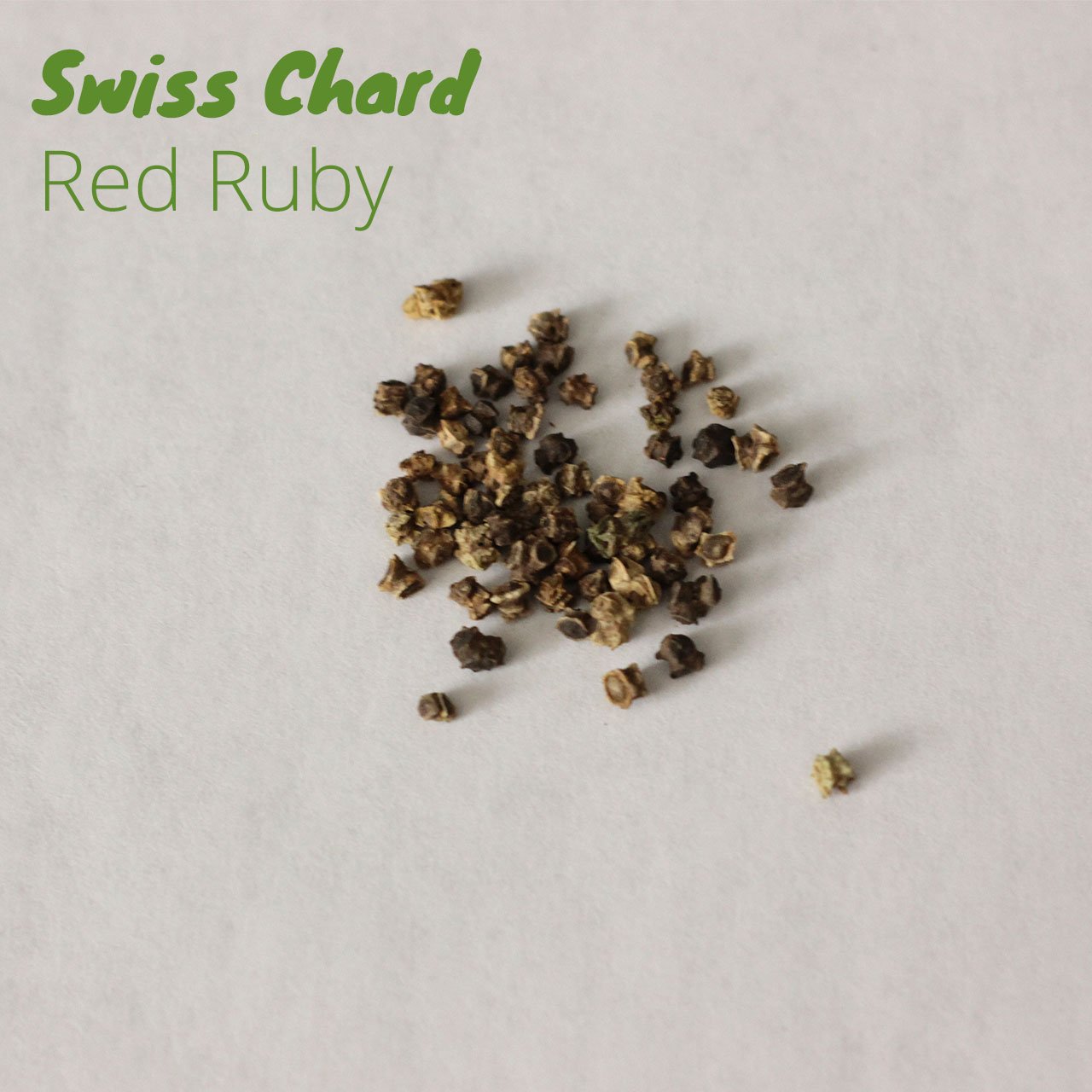 Swiss Chard - Red Ruby