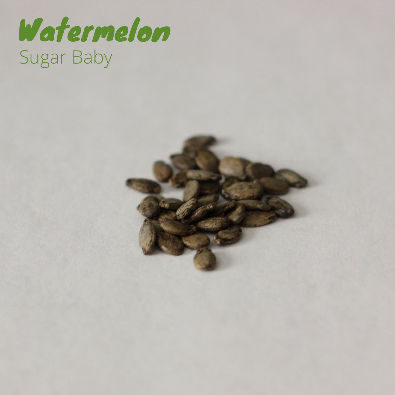 Watermelon - Sugar Baby