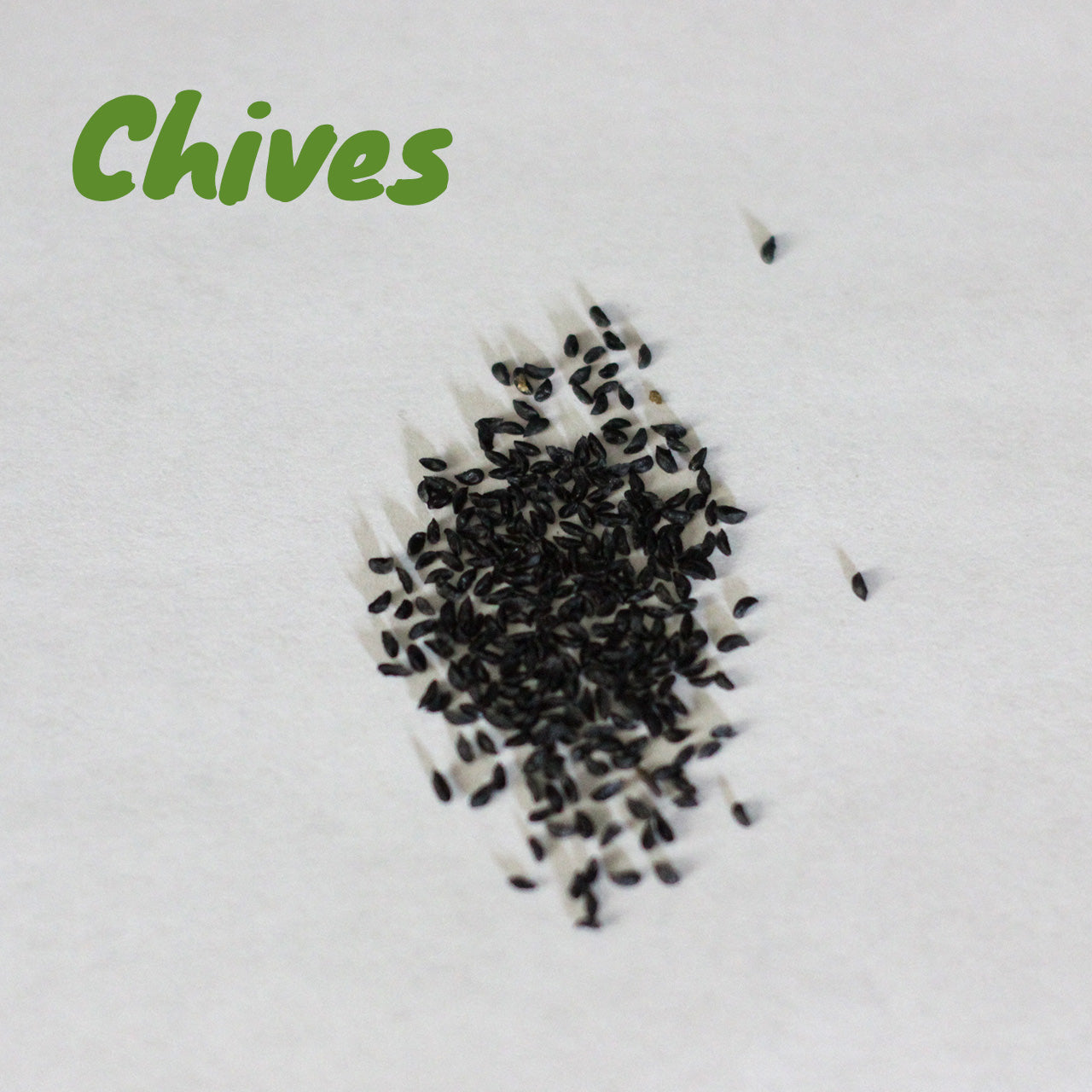 Herb Pack For Your Florida Garden