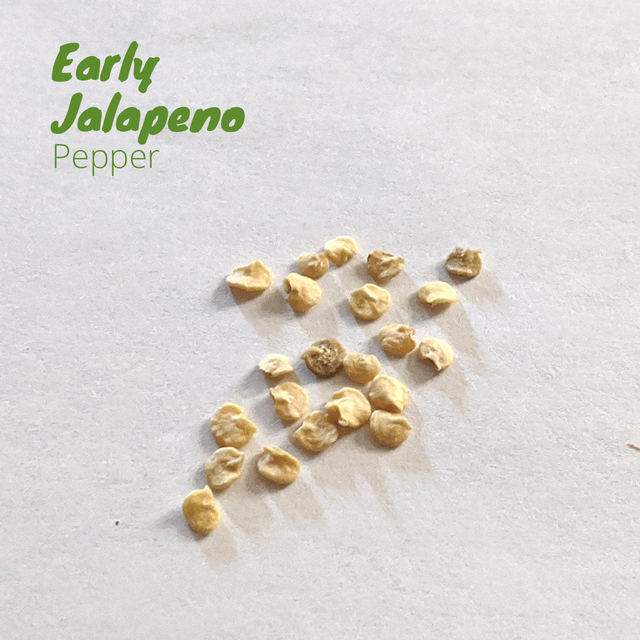 Pepper - Early Jalapeno