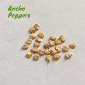 Pepper - Ancho