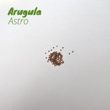 Load image into Gallery viewer, Arugula - Astro
