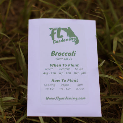 Broccoli - Waltham 29