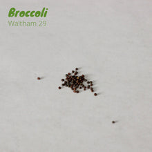 Load image into Gallery viewer, Broccoli - Waltham 29
