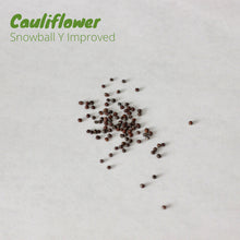 Load image into Gallery viewer, Cauliflower - Snowball Y Improved
