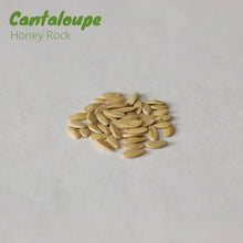 Load image into Gallery viewer, Cantaloupe - Honey Rock
