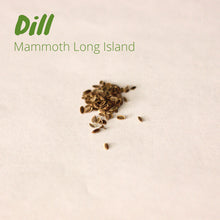 Load image into Gallery viewer, Dill - Mammoth Long Island
