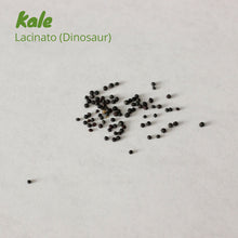 Load image into Gallery viewer, Kale - Lacinato (Dinosaur)
