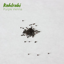 Load image into Gallery viewer, Kohlrabi - Purple Vienna

