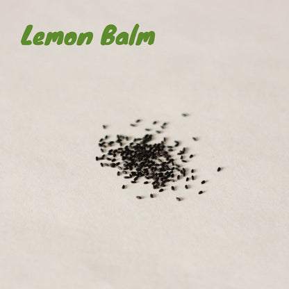 Lemon Balm
