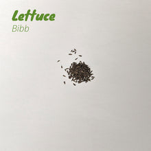 Load image into Gallery viewer, Lettuce - Bibb
