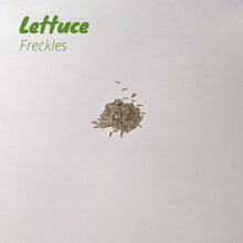 Load image into Gallery viewer, Lettuce - Freckles
