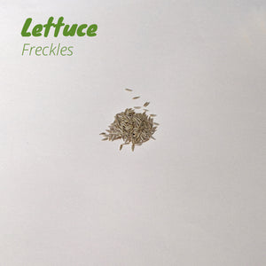Lettuce - Freckles