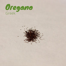 Load image into Gallery viewer, Oregano - Greek Oregano
