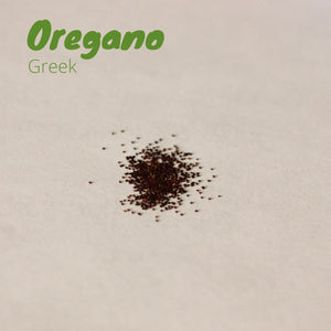Oregano - Greek Oregano