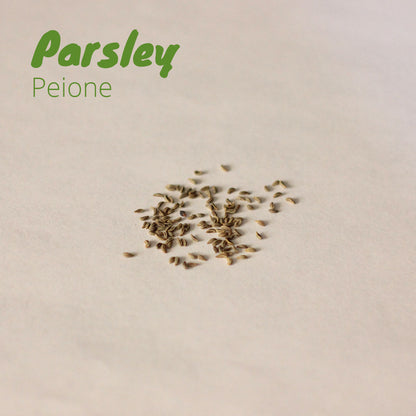 Parsley - Peione