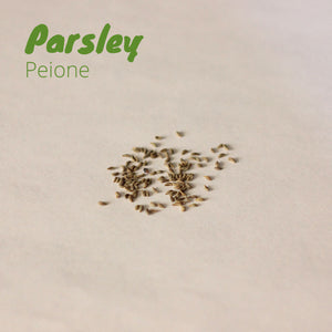 Parsley - Peione