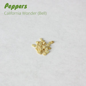 Pepper - California Wonder