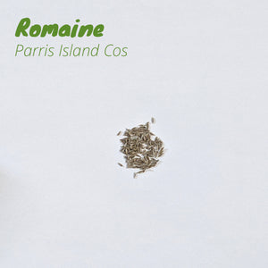 Romaine - Parris Island Cos