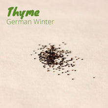 Load image into Gallery viewer, Thyme - German Winter
