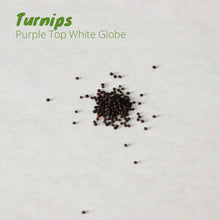 Load image into Gallery viewer, Turnip - Purple Top White Globe

