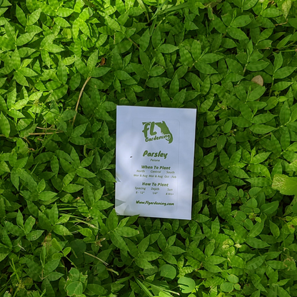 Parsley - Peione